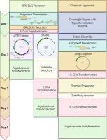 Rapid one-step CRISPR-cas vector assembly by isothermal spacer removal linearization and sequence-ligation independent cloning (ISRL-SLIC)