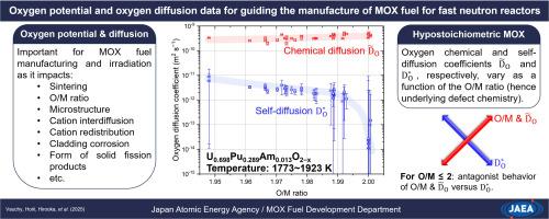 Oxygen potential and oxygen diffusion data for guiding the manufacture of MOX fuel for fast neutron reactors