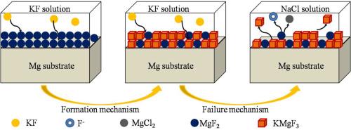 A two−step approach to form KMgF3 on AZ31 magnesium alloy: growth and protectiveness mechanism