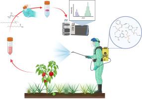 Solvent extraction methods towards efficient recognition of organophosphorus pesticides: Recent progress and analytical challenges