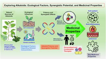 Alkaloids unveiled: A comprehensive analysis of novel therapeutic properties, mechanisms, and plant-based innovations