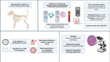 Neutrophil-to-lymphocyte, monocyte-to-lymphocyte, and platelet-to-lymphocyte ratios as prognostic markers in canine osteosarcoma: Correlation with cytological and histopathological features