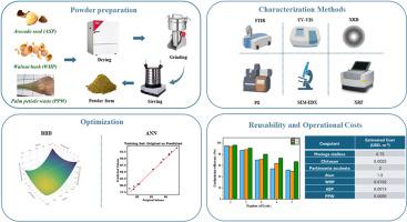 Sustainable hexavalent chromium removal from aqueous solutions using novel plant-based biocoagulants: Comparative performance, mechanism elucidation, and economic evaluation