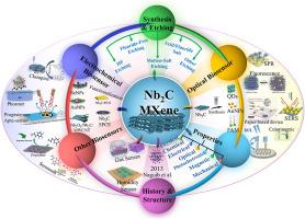 Current developments in niobium carbide (Nb2C) MXenes: Synthesis, properties, electrochemical and optical biosensing application