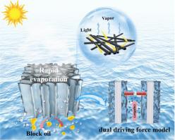 Construction of high-performance hydrogel-wood solar evaporator for desalination and water treatment through structural engineering design