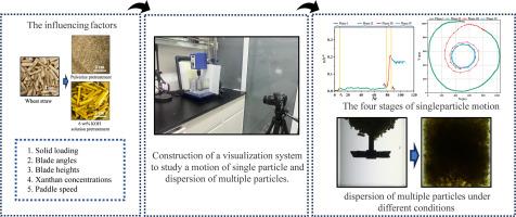 Floating and motion characteristics of single and multiple wheat straw particles in a stirred tank