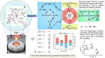 Co-combustion characteristics of ammonia and ethanol: A combined ReaxFF-MD and DFT study
