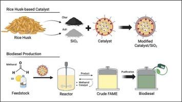 Rice husk-based catalyst for sustainable biodiesel production: A meta-analysis and systematic review