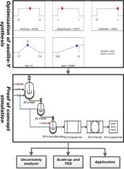 Process development of zeolite-Y-catalyst from Kulende MetaKaolin: Experimental data modelling, process optimization, computer-aided scale-up techno-economics and zeolite-Y-catalyst application for biodiesel production