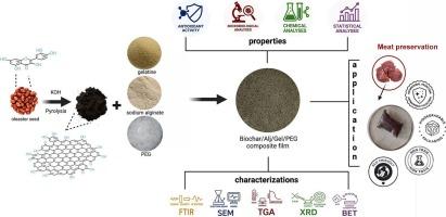 Innovative bio-based active packaging: Functional composite films reinforced with biochar for meat preservation