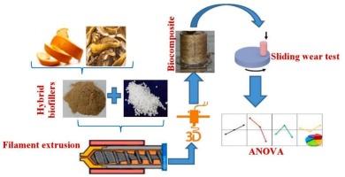 Synergy of fruit wastes derived hybrid biofillers and PLA on tribological response of 3D printed biocomposite: A comparative study and parametric optimization by Taguchi design of experiment