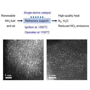 Single-atom catalysts enabled catalytic ammonia combustion at 1,100°C