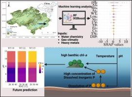 The influence of pH and temperature on benthic chlorophyll-a: Insights from SHAP-XGBoost and random forest models