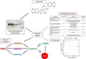 Proteomic responses to acute sesamolin exposure in zebrafish embryos