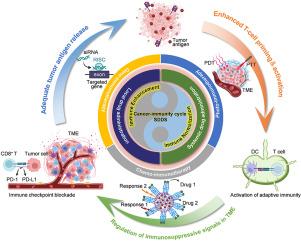 Engineering strategies of sequential drug delivery systems for combination tumor immunotherapy