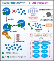 Chemical knockdown of Keap1 and homoPROTAC-ing allergic rhinitis