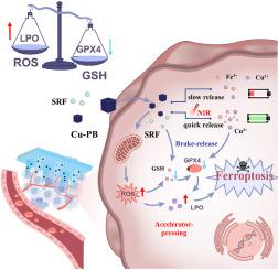 Dual-ferroptosis induction-based microneedle patches for enhanced chemodynamic/photothermal combination therapy against triple-negative breast cancer