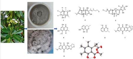 Three new polyketones from mangrove endophytic fungus aspergillus sp. HMGh1–1 and their insecticidal activity