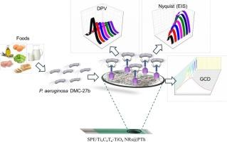 Polythiophene functionalized Ti3C2Tx-TiO2 nanorods composite based electrochemical sensing platform for the detection of Pseudomonas aeruginosa DMC-27b