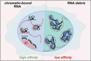Role of RNA in genome folding: It's all about affinity