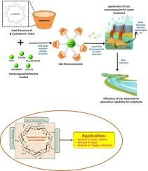 Next-generation remediation tools: A review on cyclodextrin-based nanocomposites
