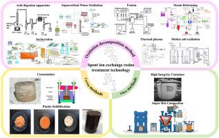 Revolutionizing radioactive waste resin treatment: A comprehensive review of advanced technologies and future directions