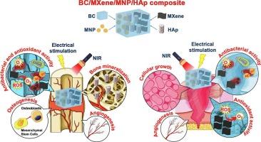 Advanced biomaterials in tissue engineering: A critical review of nanocomposites based on bacterial cellulose, MXenes, hydroxyapatite, and metal particles for regenerative medicine