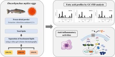 Evaluation of anti-inflammatory properties of neutral lipids, glycolipids, and phospholipids from Oncorhynchus mykiss eggs in LPS-stimulated macrophages