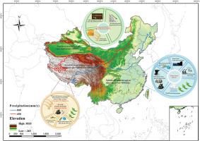 Spatial distribution of surface soil selenium and its influencing factors in China: A literature-based analysis