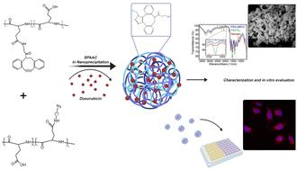 Fast assembly of ‘clickable nanogels’ for drug delivery†