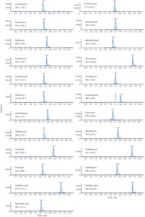 Preconcentration of Quinolones on Magnetic Hypercrosslinked Polystyrene before Their Determination by High-Performance Liquid Chromatography in Milk