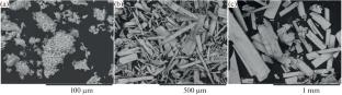 Synthesis, Structure, and Properties of Bismuth(III) Salts with Malonic Acid