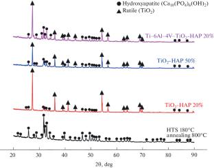 Formation of Layered Biocomposite as a Promising Base for Metal–Ceramic Bone Implants