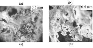 Structure and Properties of Epoxy Composites Modified with Titanium Oxide Filler