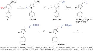 Design, Synthesis, and Biological Evaluation of New Monocarboxylate Transporter MCT1 Inhibitors Based on 1,5-Diarylpyrazoles