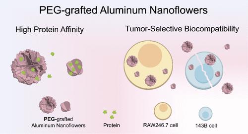 Surface-Engineered Aluminum Nanoflowers for High-Capacity Protein Binding and Selective Cytotoxicity