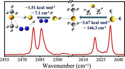 Dispersion-Dominated S–H···Se H-Bonds in the Dimethyl Selenide–H2S Complex Identified in a Nitrogen Matrix: Cooperative Strengthening by Molecular Nitrogen