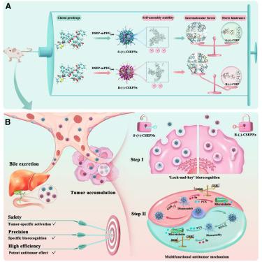 Robust antitumor treatment driven by lock-and-key biorecognition of dynamic cyclic diselenide-guided chiral prodrug self-assembly