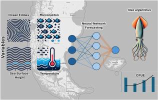 Analysing and forecasting spatio-temporal abundance of Illex argentinus in the Falkland Islands zone based on oceanographic features