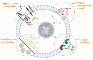 Engineering of DNA nanostructure-based artificial cells for biosensing applications