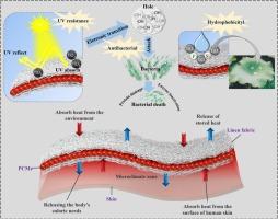 Multifunctional linen cellulose fabric coating: Combined heat storage and thermoregulation, hydrophobicity, UV resistance and antibacterial properties