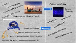 Environmental quality and its impact on selective fishing — A computational perspective