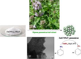 Green synthesized Zinc oxide nanoparticles mediated by Thymus pannonicus extract as a novel catalyst in the reduction of aromatic nitro compounds