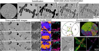 In-situ investigation of discontinuous precipitation in Sn-Bi low temperature solders