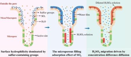 Sulfur-doped carbon for enhanced flue gas desulfurization: Synergistic experimental and DFT insights