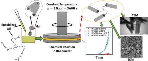 Bio-based functionalization of halloysite nanotubes: Rheokinetics and surface modification with epoxidized linseed and soybean oils