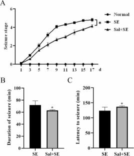 Salidroside Attenuates Epilepsy and Cognitive Dysfunction in Rats by Downregulating Complement C3-C3aR Pathway-Mediated Activation of Microglia and Astrocytes