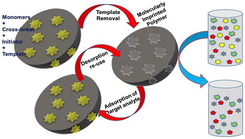 Molecularly Imprinted Polymers (MIPs): Synthesis, Applications and Recent Advances in Water Remediation