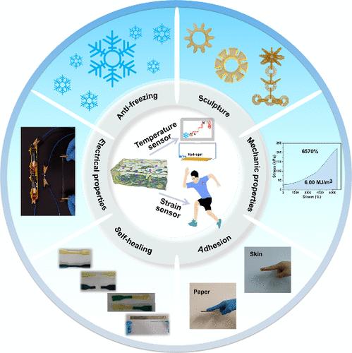 Multifunctional Conductive Hydrogel Sensors for Multiscale Motion Detection and Wide-Range Temperature Monitoring