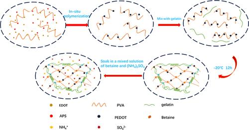 High-Strength Antifreezing Gelatin/PVA/PEDOT Composite Conductive Hydrogel for Flexible Strain Sensors and Triboelectric Nanogenerators